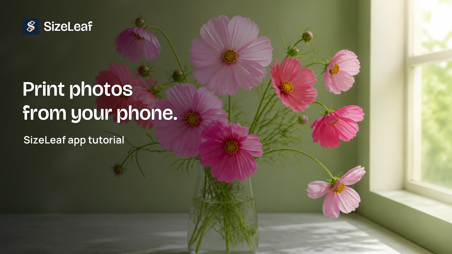 SizeLeaf app tutorial: print photos at the right size.