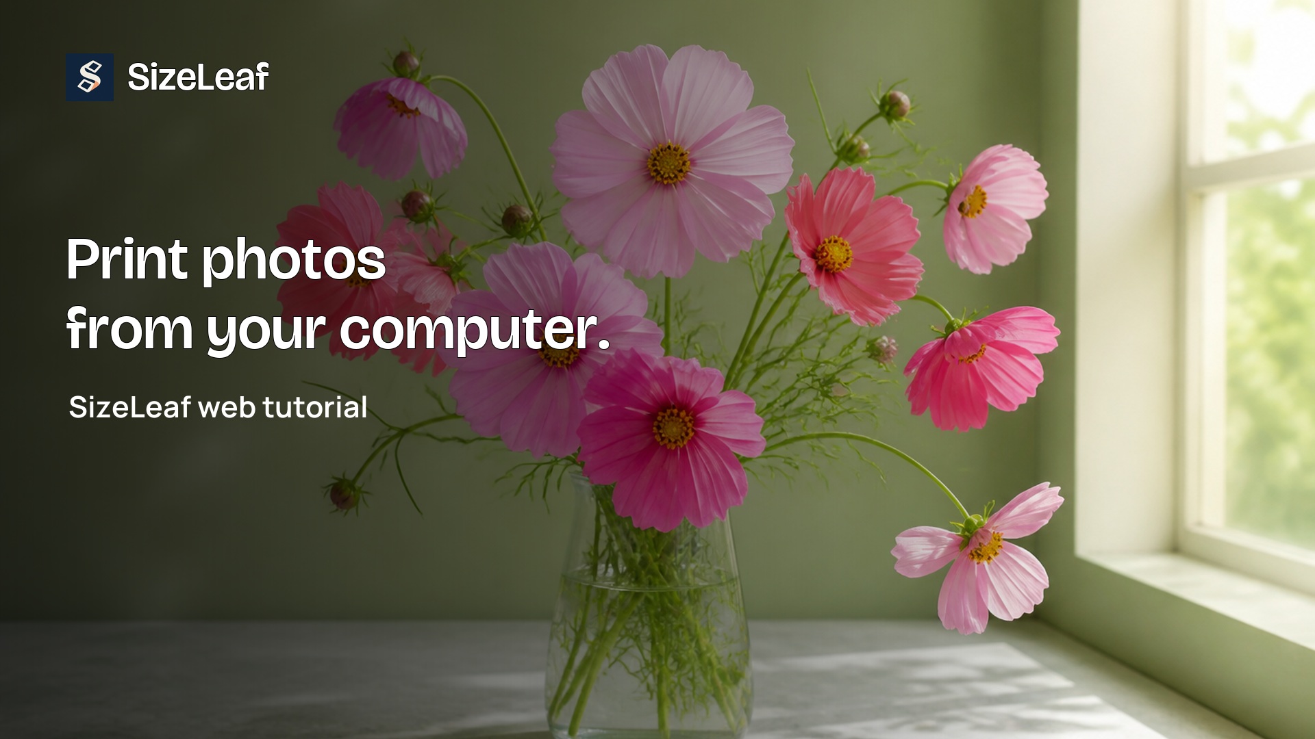 SizeLeaf web tutorial: print photos at the right size.